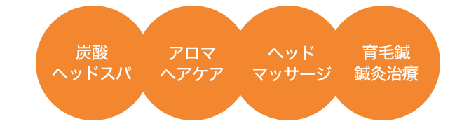 1)炭酸ヘッドスパ 2)アロマヘアケア 3)ヘッドマッサージ 4)育毛鍼 鍼灸治療