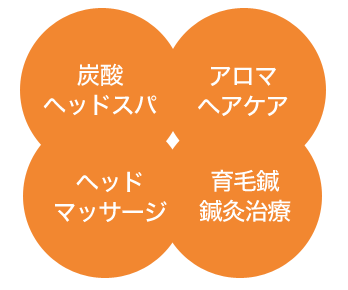 1)炭酸ヘッドスパ 2)アロマヘアケア 3)ヘッドマッサージ 4)育毛鍼 鍼灸治療